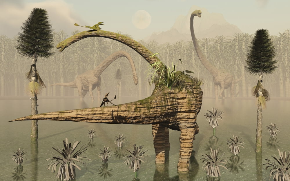 Living fossilized Omeisaurus sauropod dinosaurs Canvas Art - Mark StevensonStocktrek Images (18 x 12)