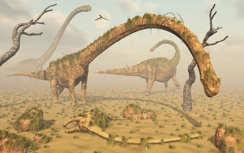 Living fossilized Omeisaurus sauropod dinosaurs Canvas Art - Mark StevensonStocktrek Images (36 x 23)