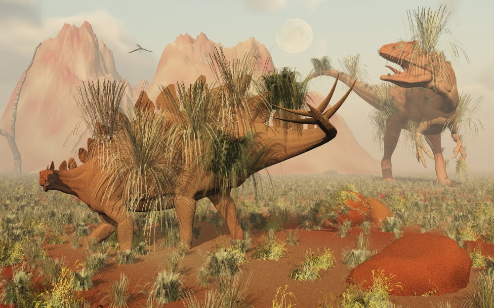 Living fossils of a Stegosaurus and an Allosaurus come face to face Canvas Art - Mark StevensonStocktrek Images (18 x 12)