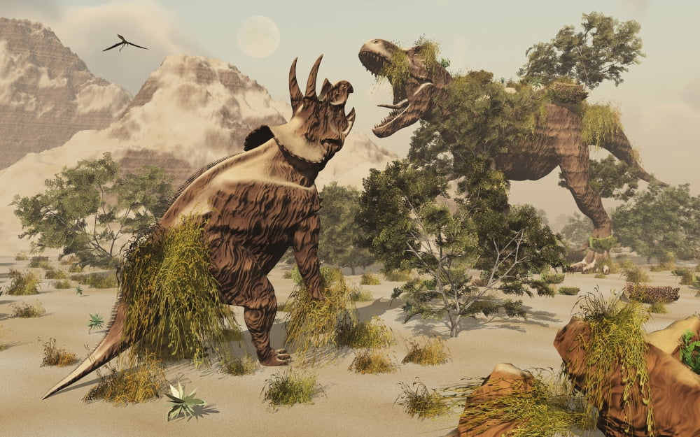 Living fossils of a Triceratops and a T-Rex confronting each other Canvas Art - Mark StevensonStocktrek Images (36 x 23)