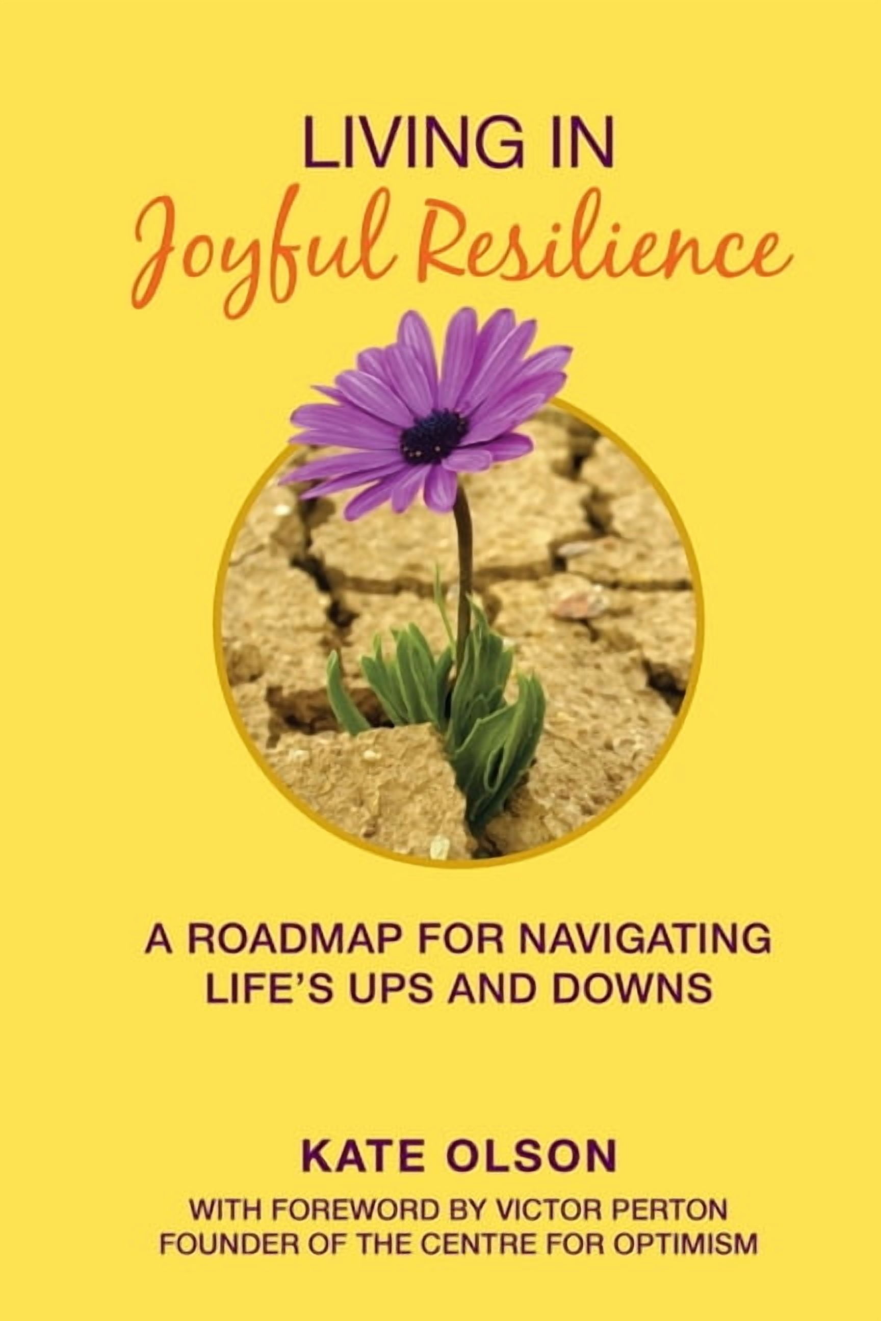 Living in Joyful Resilience: A Roadmap for Navigating Life's Ups and ...