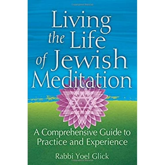 Pre-Owned Living the Life of Jewish Meditation: A Comprehensive Guide to Practice and Experience (Paperback) 1580238025 9781580238021