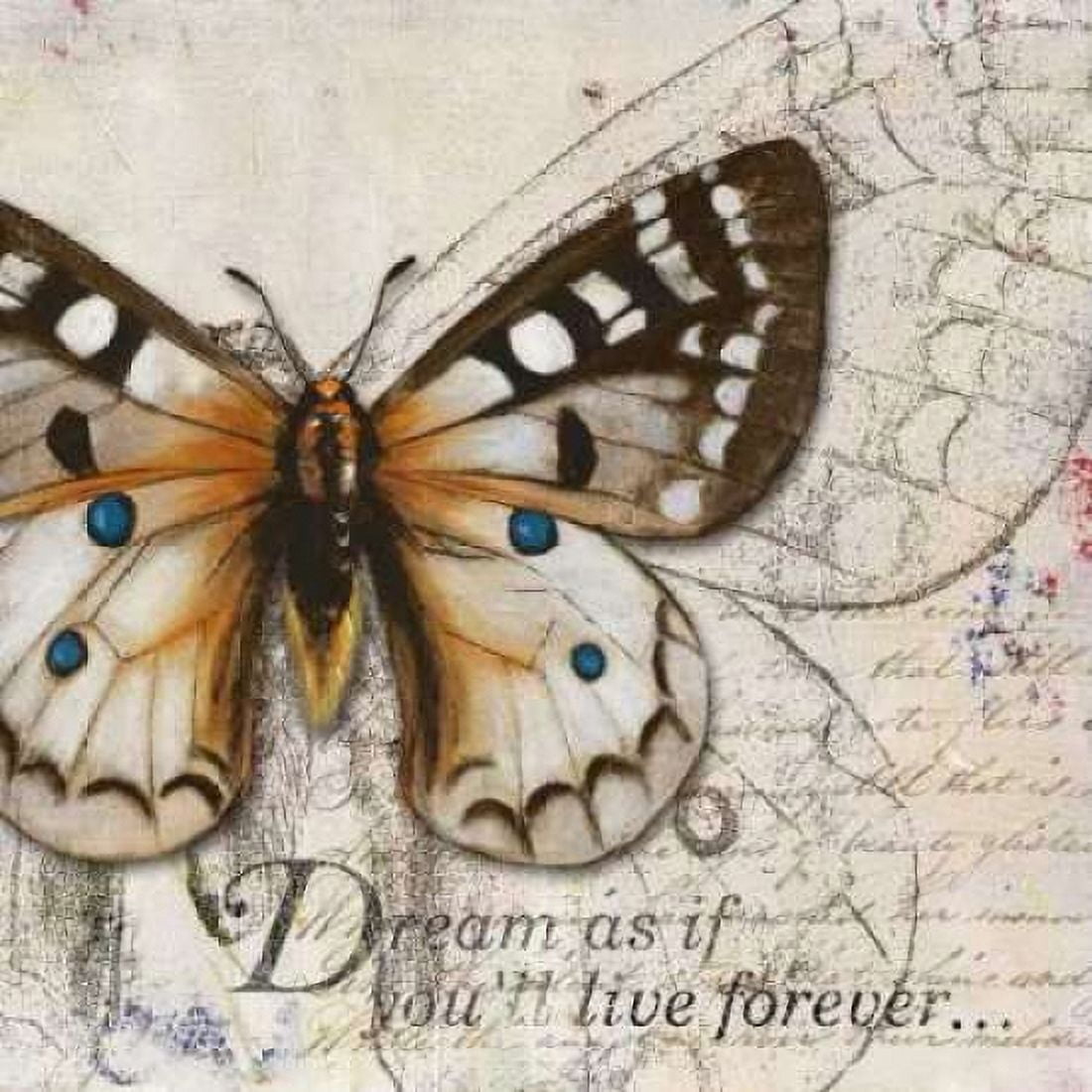 Living your Dreams I Canvas Art - Patricia Pinto (24 x 24)