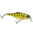 thumbnail image 1 of Livingston Lures BullDozer Predator Series-Natural Perch, 1 of 5
