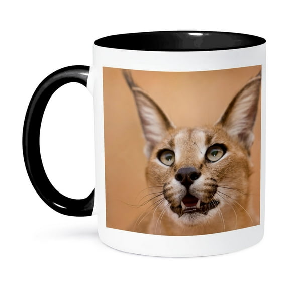3dRose, Livingstone, Zambia. Portrait of a Caracal., 11oz Two-Tone Black Mug