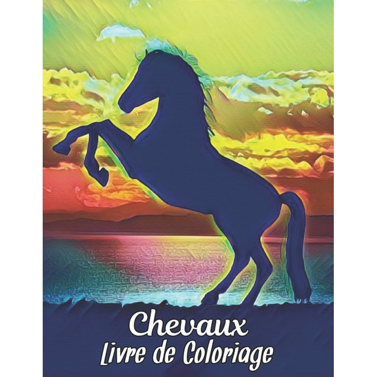 Livre Coloriage Chevaux : 50 Dessins de Cheval Unilatéraux Livre de  Coloriage de Cheval Anti-Stress pour Cadeau Adulte pour les Amateurs de  chevaux à colorier livre de coloriage cheval adulte (Paperback) 