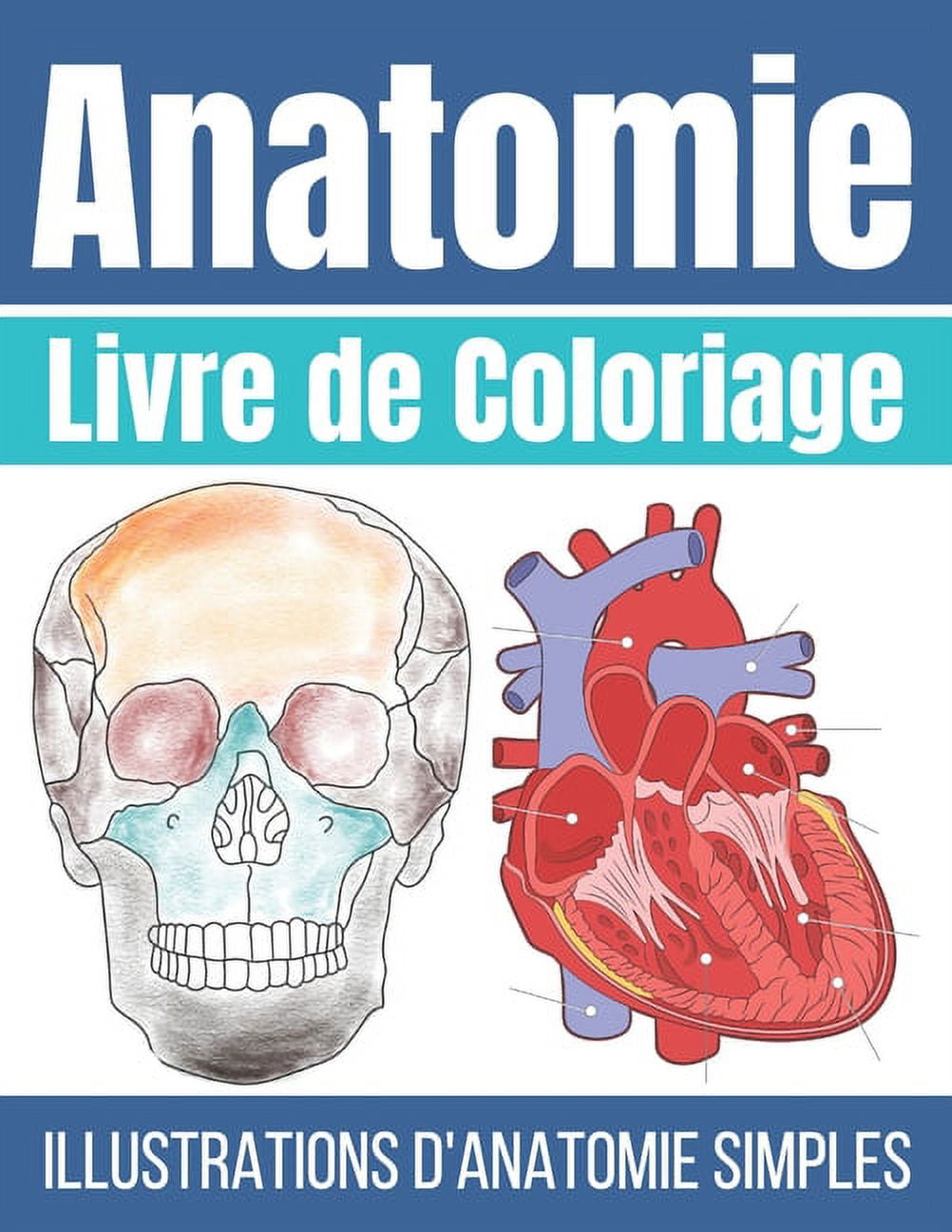 Livre de Coloriage Anatomie: Illustrations d'anatomie Simple à Colorier ...