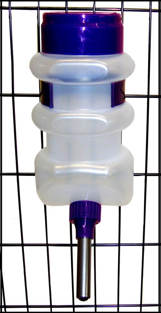 Lixit Top Fill Water Bottle Dog 44oz