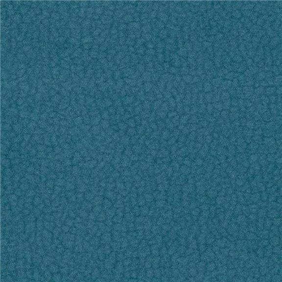 Liz Jordan-Hill 1 lbs Polyester Acrylic Polyamide Sewing & Craft Fabric By the Bolt, Baby Blue
