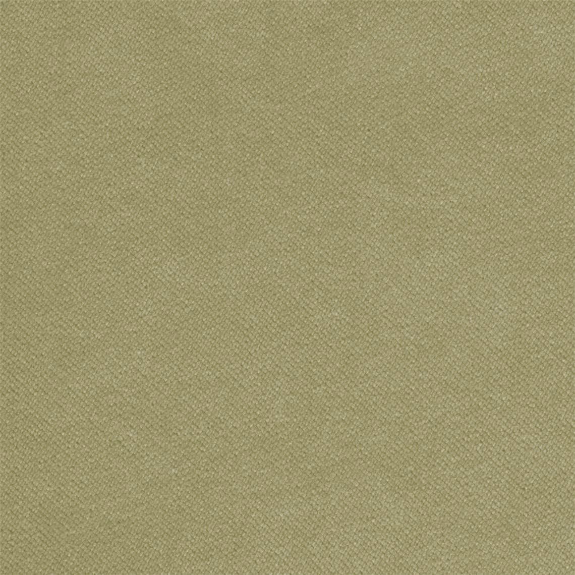 Olive 355