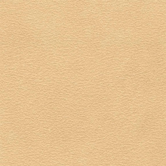 Liz Jordan-Hill Beige Chenille Upholstery Fabric Sample Swatch, 4x4 Inch - Stain Resistant Aquaclean Material for Chairs, Daytona Marzipan 81