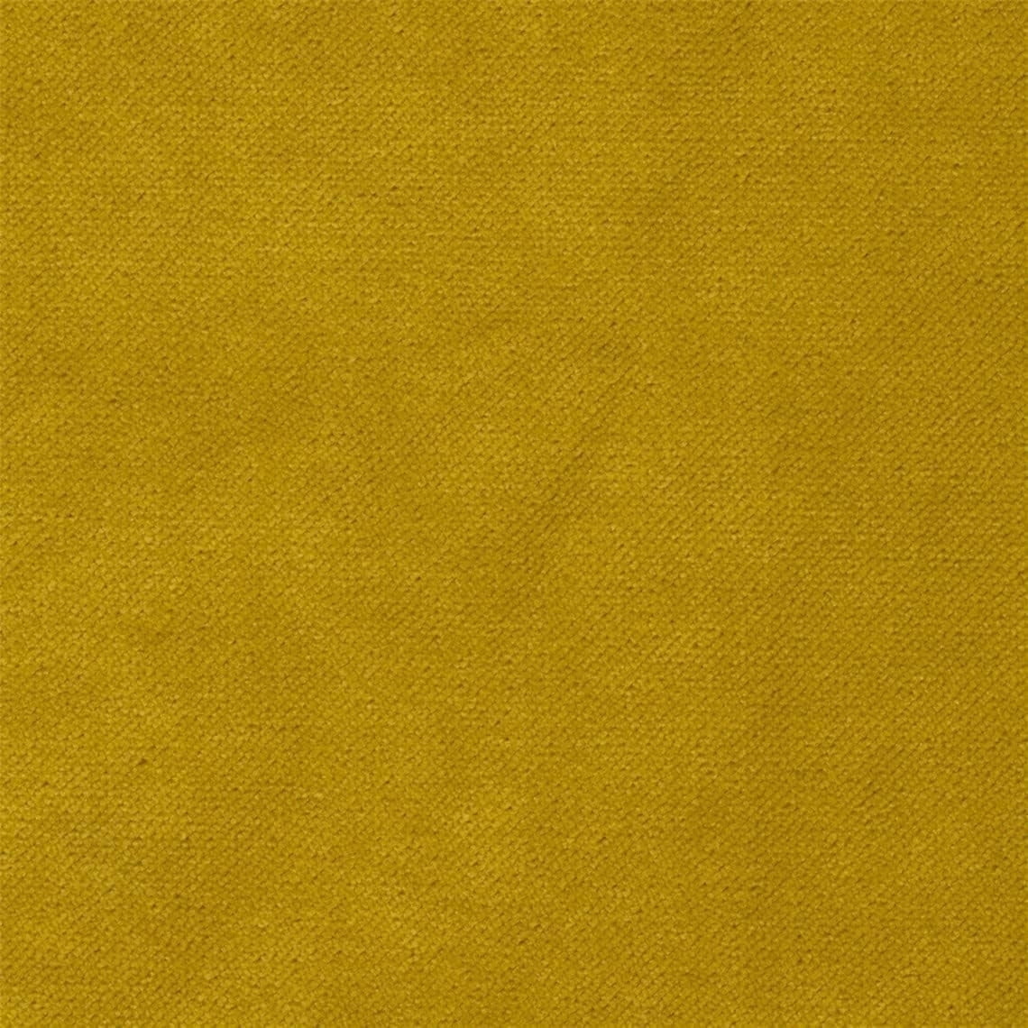 Sunflower 105