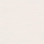 Liz Jordan-Hill White Velvet Stain Resistant Upholstery Fabric by the Yard With Aquaclean Technology, Pet Friendly, Bellagio Polar 001