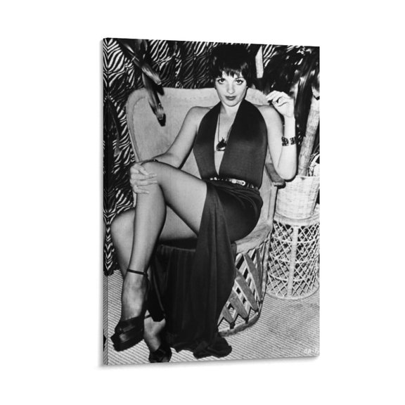 Liza Minnelli Poster (4) Wall Art Poster Scroll Canvas Painting Picture Living Room Decor Home