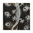 thumbnail image 1 of "Lizard Abstract Expressionism" - Canvas, 1 of 25