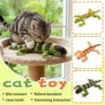 thumbnail image 1 of Lizard Catnip Toys Chew Resistant Toys, Interactive Toys for Indoor Pet Boredom Relief Teeth Cleaning, 1 of 4