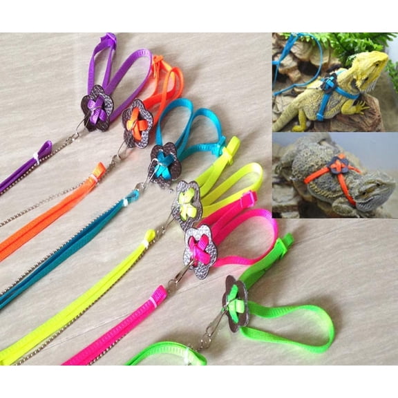 Lizard Harness Leash