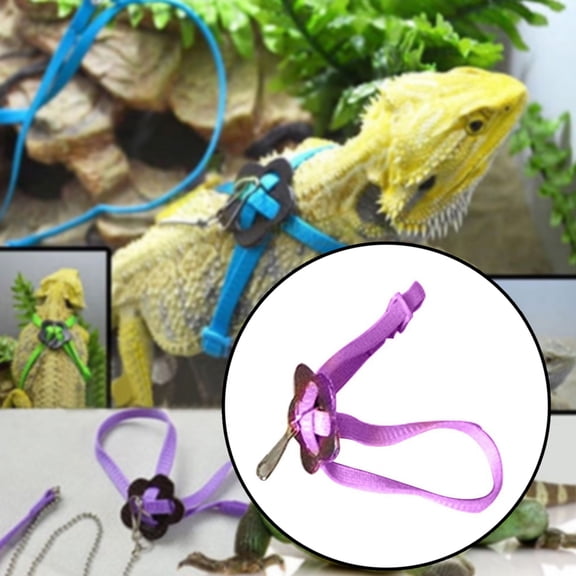 Lizard Leash，Mini Pig Adjustable Harness Leash For And Other Small Animals Ferret Rabbit Dog Cat,Purple