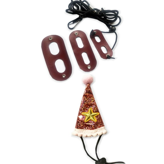 Lizard Leash and Harness Costume Hat for Iguana Gecko Hamster Ferret