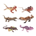 thumbnail image 1 of Lizard, Plastic Reptile Figures, 3-5 In, Students Play Set, Party Favors, Birthday Party FavorsforStudents, Mixed Patterns, 6 Set, 1 of 6
