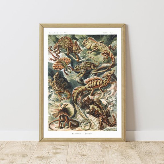 Lizard Reptile Illustration Lacertilia Natural History Rustic Landscape Wall Art Decor Unframed Paper Print