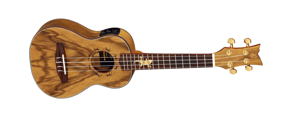 Lizard Series Concert Acoustic-Electric Ukulele with Bag