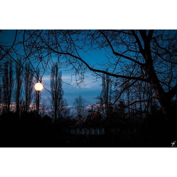 Lizard Skins DSP Ultra Specialty Bat Grip Tape: 1.8 mm thick (Glory)