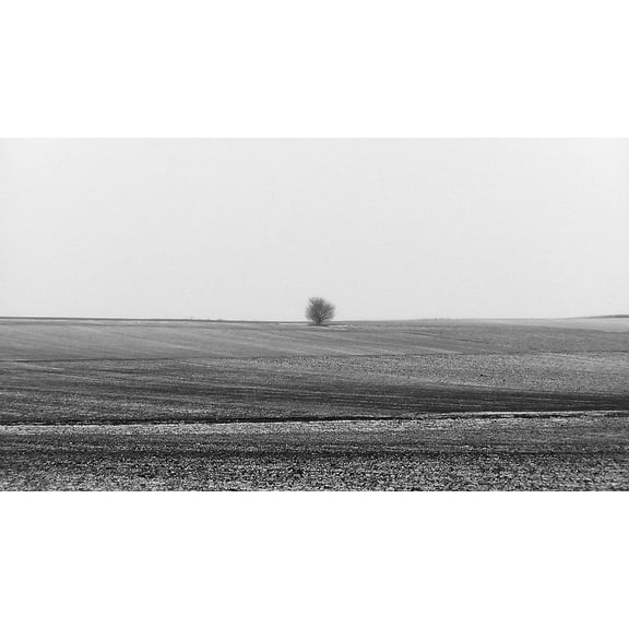 Lizard Skins DSP XSX Controller Shaped Grip: solid colors (Crimson Red)