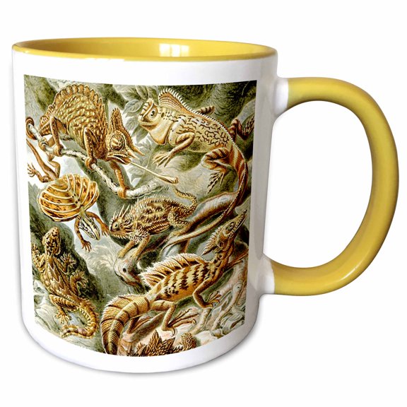 3drose, Lizards and Reptiles Art Print - Reptile Breeds and Species - Animals, 11oz Two-tone Yellow Mug