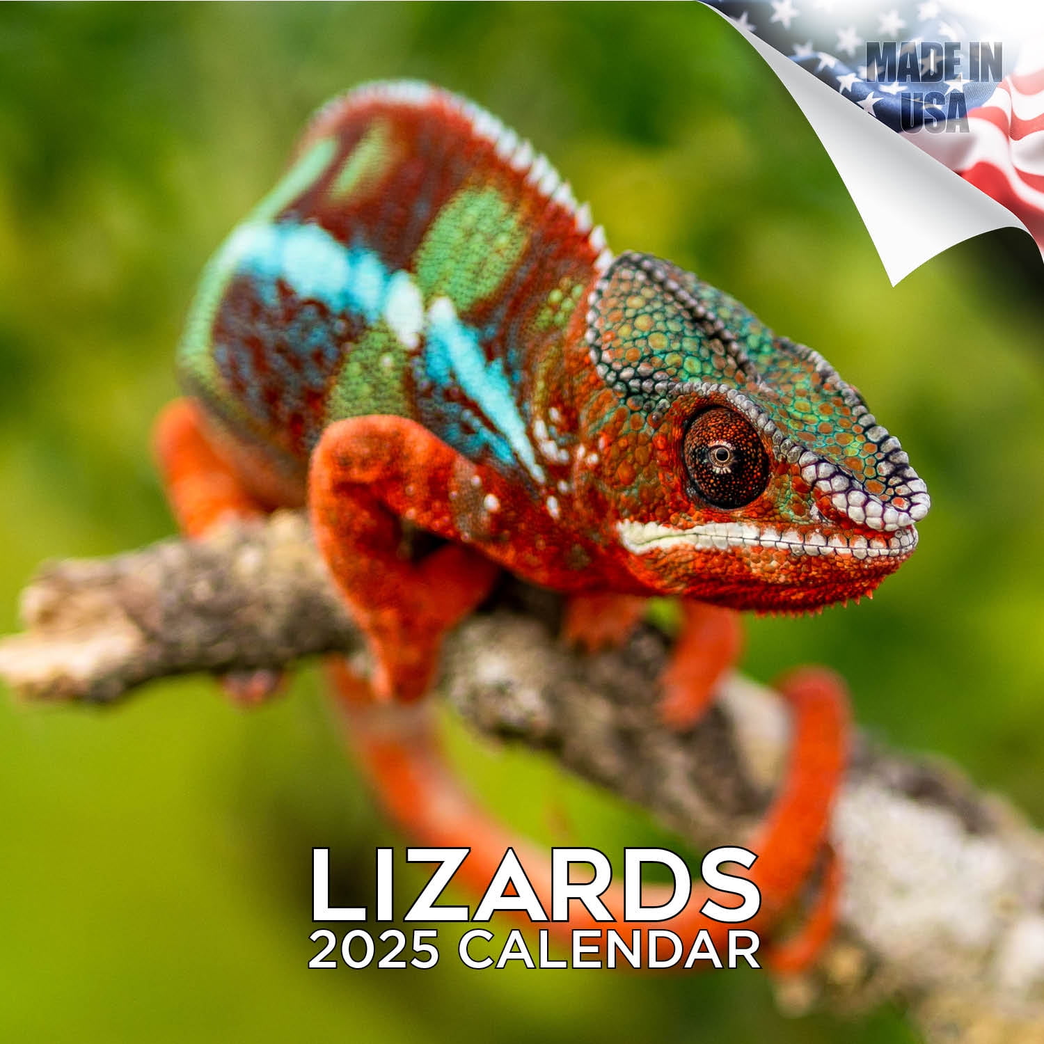 Visual Reference: 2024 2025 Lizards Calendar Wildlife Monthly Wall Calendar