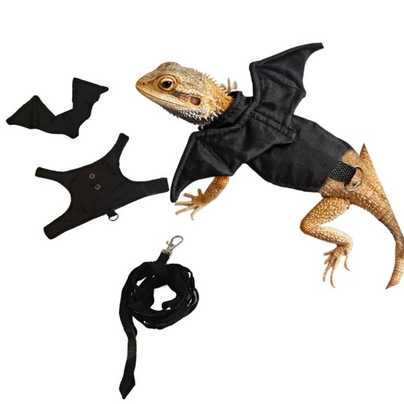 Lizards Leashes Harnesses Soft Adjustable Reptiles Bearded Dragon Tractions Rope Amphibians Pet Harnesses Supplies