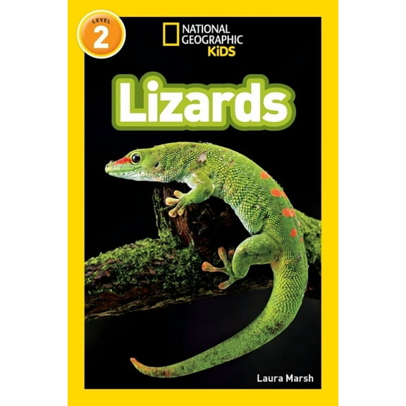 Lizards (Paperback)