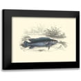 thumbnail image 1 of Lizars, W.H. 18x14 Black Modern Framed Museum Art Print Titled - Lizars Game Fish III, 1 of 5