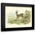 thumbnail image 1 of Lizars, W.H. 24x19 Black Modern Framed Museum Art Print Titled - Petite Row Deer, 1 of 5