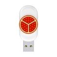 Lizheee 256MB Flash Drive Memory Stick Pen Drive USB2.0 USB Stick High