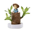 Lizheee Brazilian Wood Easy Grow Wood Easy Care Brazilian Wood