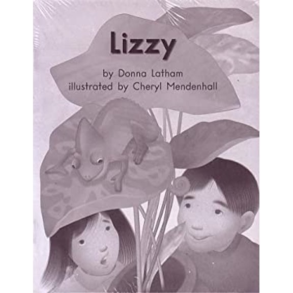 Pre-Owned Lizzy; Leveled Literacy Intervention My Take-Home 6 Pak Books, same title (Book 76 Level E, Fiction) Green System,Grade 1 9780325018911