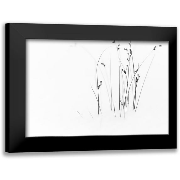 Ljubicic, Dusan 14x11 Black Modern Framed Museum Art Print Titled - Black On White