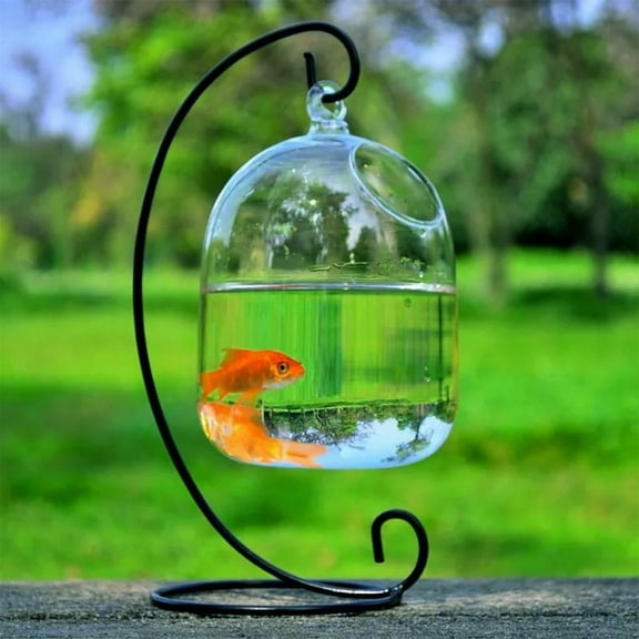 Ljxge Clear Glass Hanging Fish Bowl Aquarium - Multi-Purpose Tabletop Vase for Plants, Flowers & Small Fish with Mounting Bracket, Perfect for Home & Office Decor