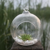 Ljxge Hanging Glass Vase Terrarium For Succulents Plants Home Wedding Decor Clear 80Mm