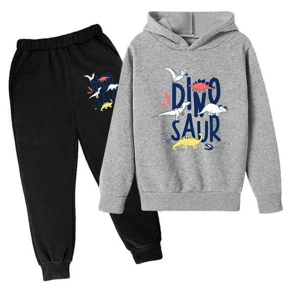 Lkhaha Kids Set Boys Clothes Cute Cartoon Dinosaur Print Long Sleeve Hoodie Sweatshirts And Sweatpants Kids Matching Set Size 4-5 Years