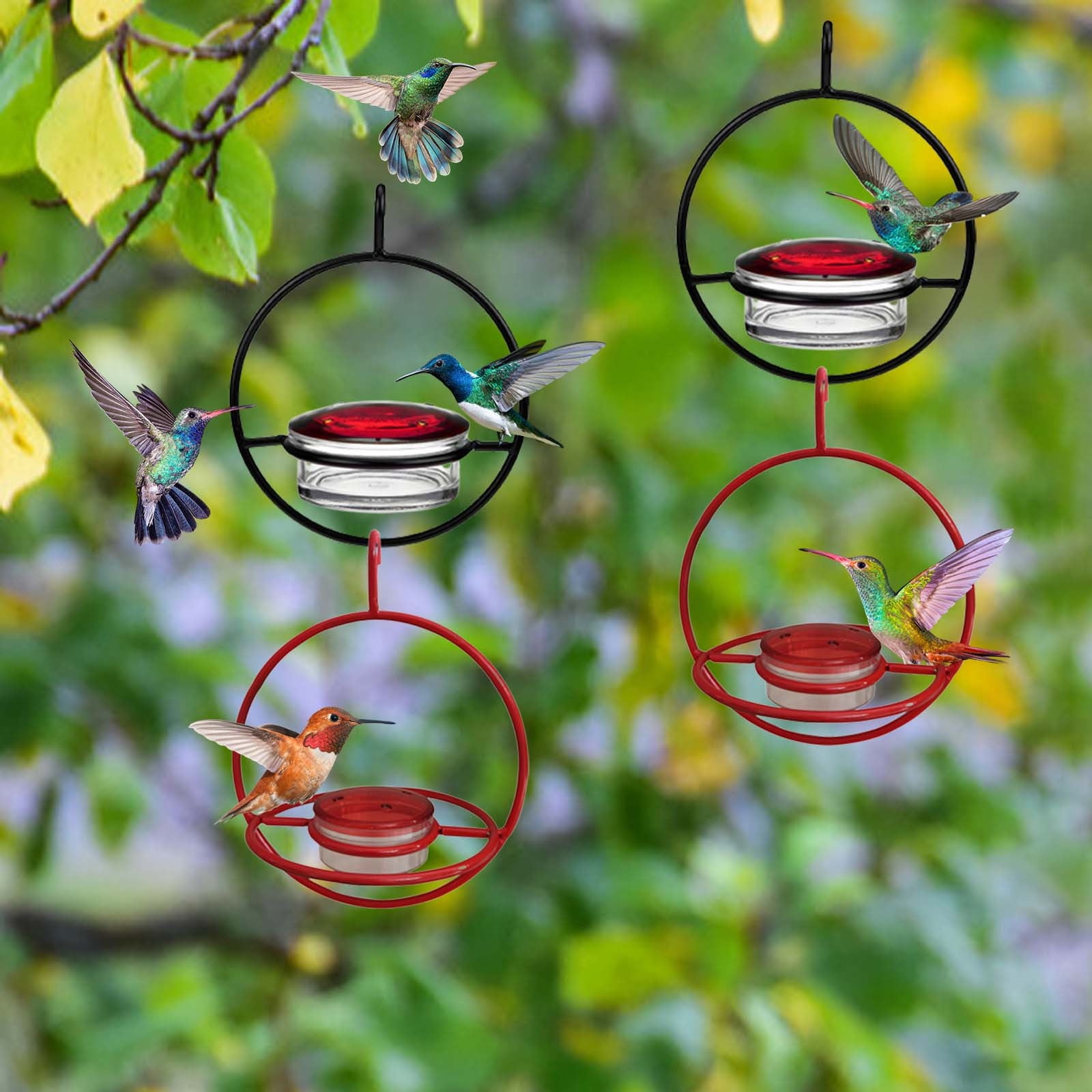 Lksixu Bird Feeder Squirrel Proof Hummingbird Feeder Hummingbird