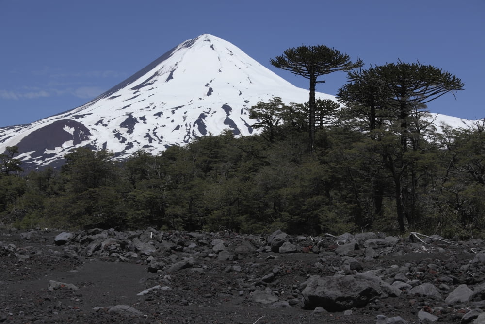 Llaima volcano Araucania region Chile Canvas Art - Martin RietzeStocktrek Images (34 x 23)