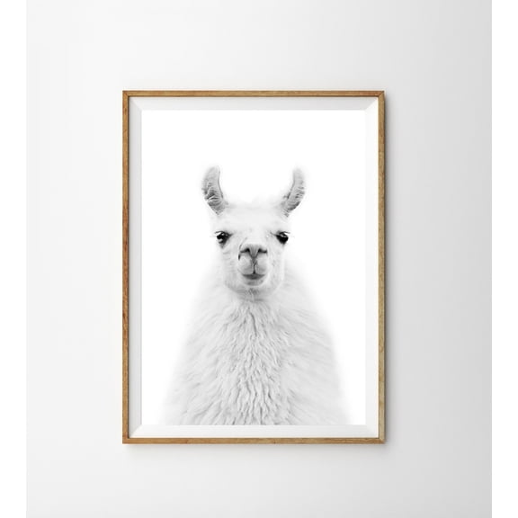 Llama Alpaca Boho Nursery Black And White Animal Wall Art Decoration, Stretched Canvas 8x10in