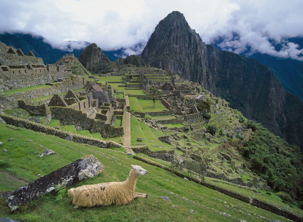 Llama At Machu Picchus Ancient Ruins With Huayna Picchu In The Background Canvas Art - Chris Caldicott Design Pics (18 x 13)