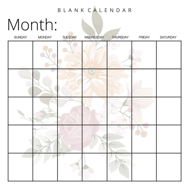 Llama Bird Press Blank Calendar (Paperback)