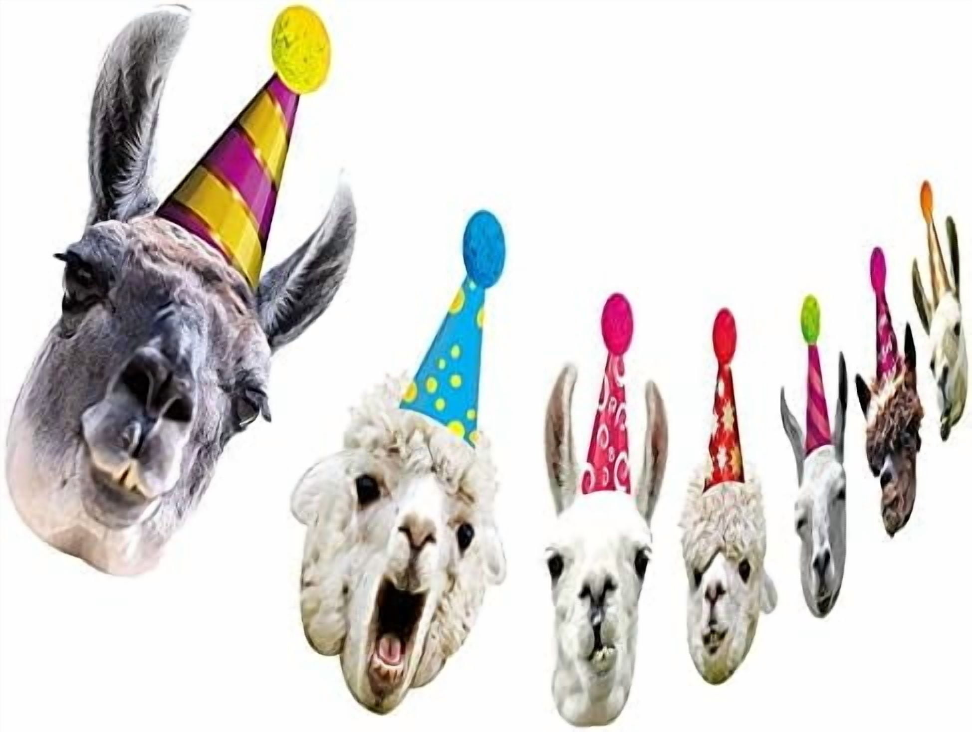 Llama Birthday Garland, Funny Alpaca Face Portrait Bunting, Hilarious Bday Party Decoration$$Home Decor, Kitchen, & Other