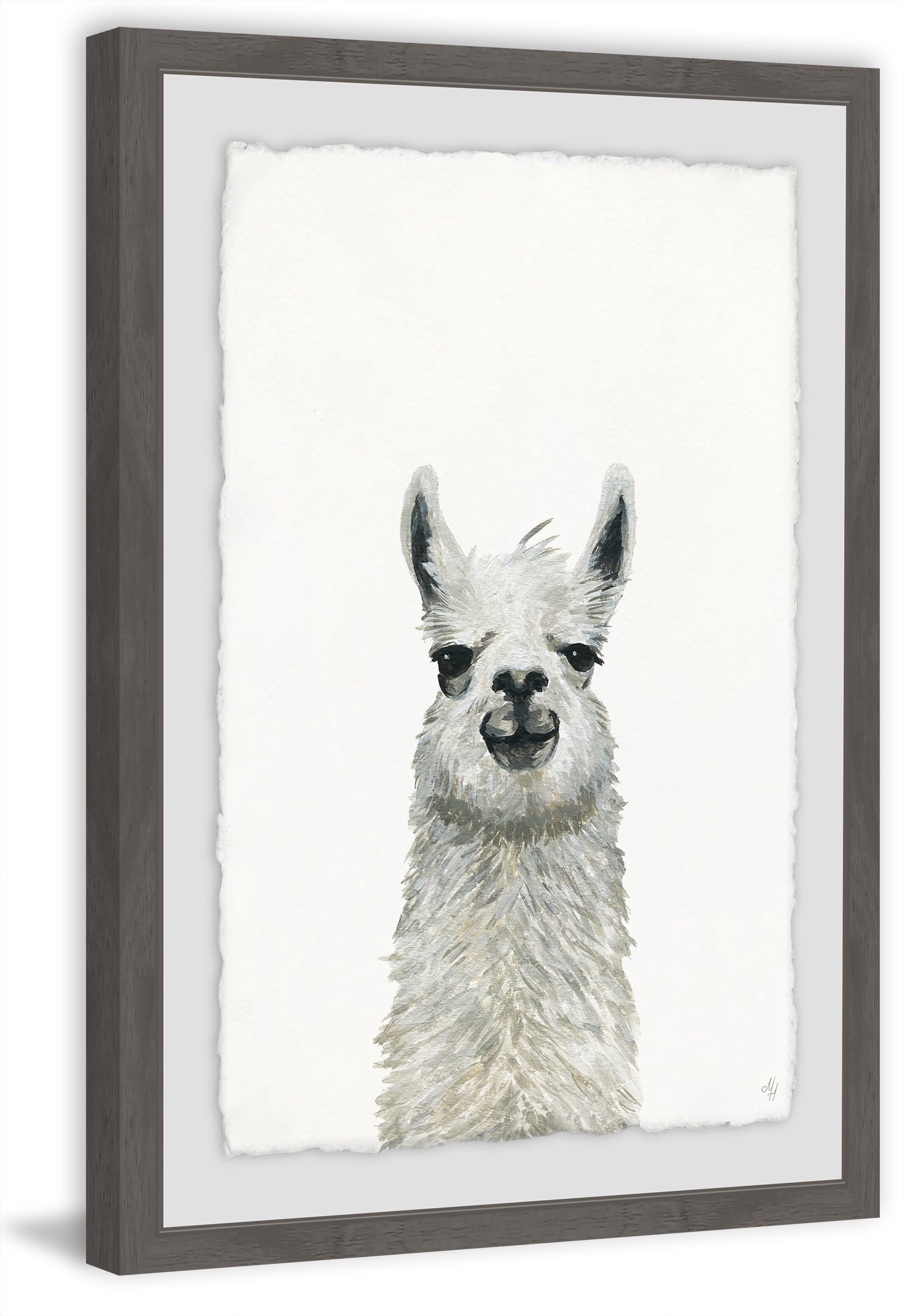 Llama Close-up Framed Painting Print