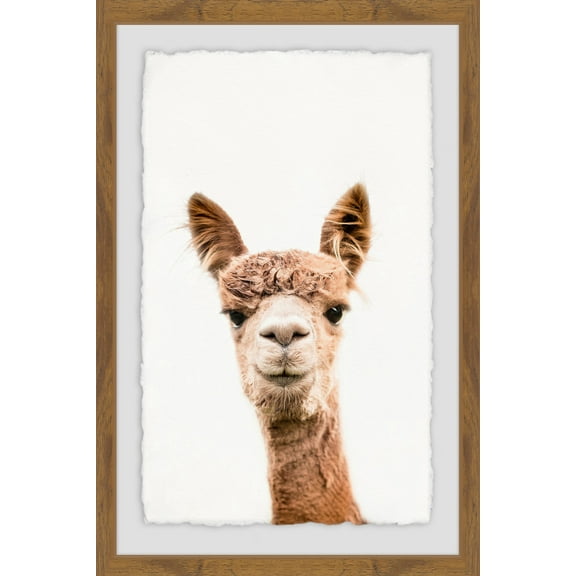 Llama Face II Framed Painting Print