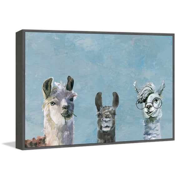 Llama Geeks Floater Framed Painting Print on Canvas